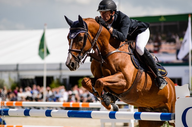 Gregory Wathelet competing at Knokke Hippique 2016 Photo by : Wilhelm Westergren
